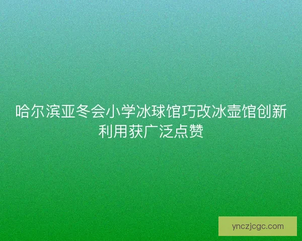 哈尔滨亚冬会小学冰球馆巧改冰壶馆创新利用获广泛点赞 哈尔滨亚冬会小学冰球馆巧改冰壶馆创新利用获广泛点赞