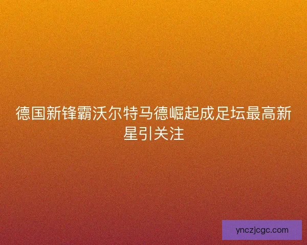 德国新锋霸沃尔特马德崛起成足坛最高新星引关注 德国新锋霸沃尔特马德崛起成足坛最高新星引关注