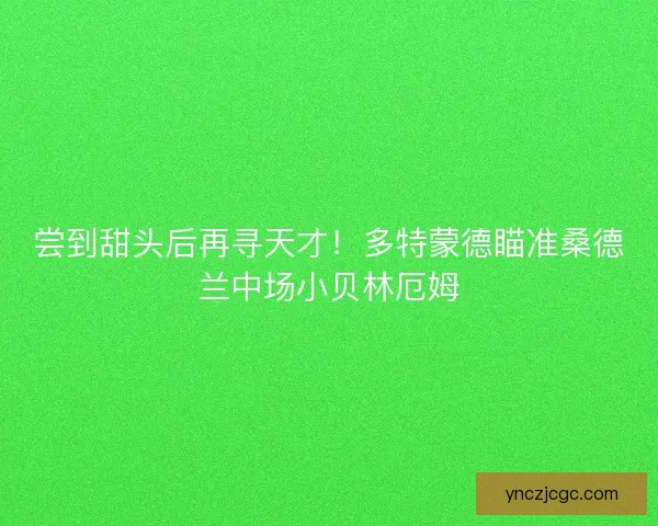 尝到甜头后再寻天才！多特蒙德瞄准桑德兰中场小贝林厄姆