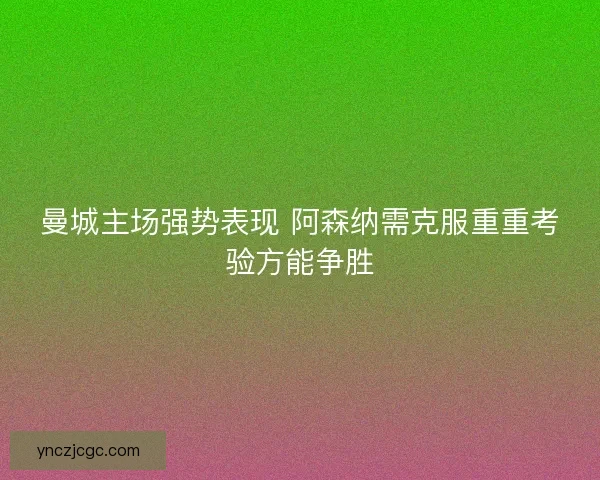 曼城主场强势表现 阿森纳需克服重重考验方能争胜 曼城主场强势表现 阿森纳需克服重重考验方能争胜